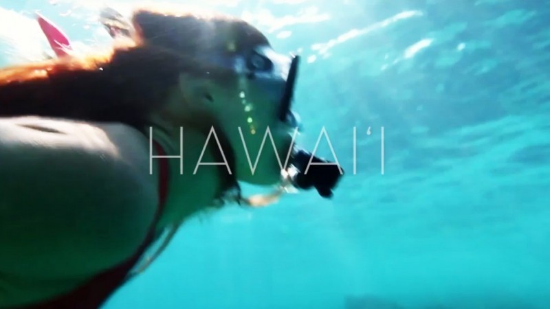 世界的に有名な観光先ハワイの動画