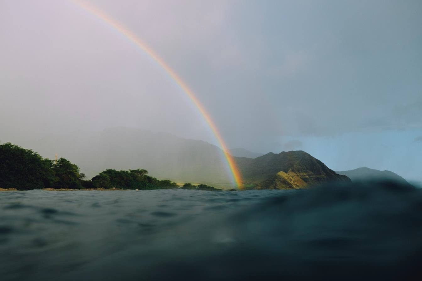 客室のアートワーク：ジョサイア・パターソン作「Westside Rainbow」